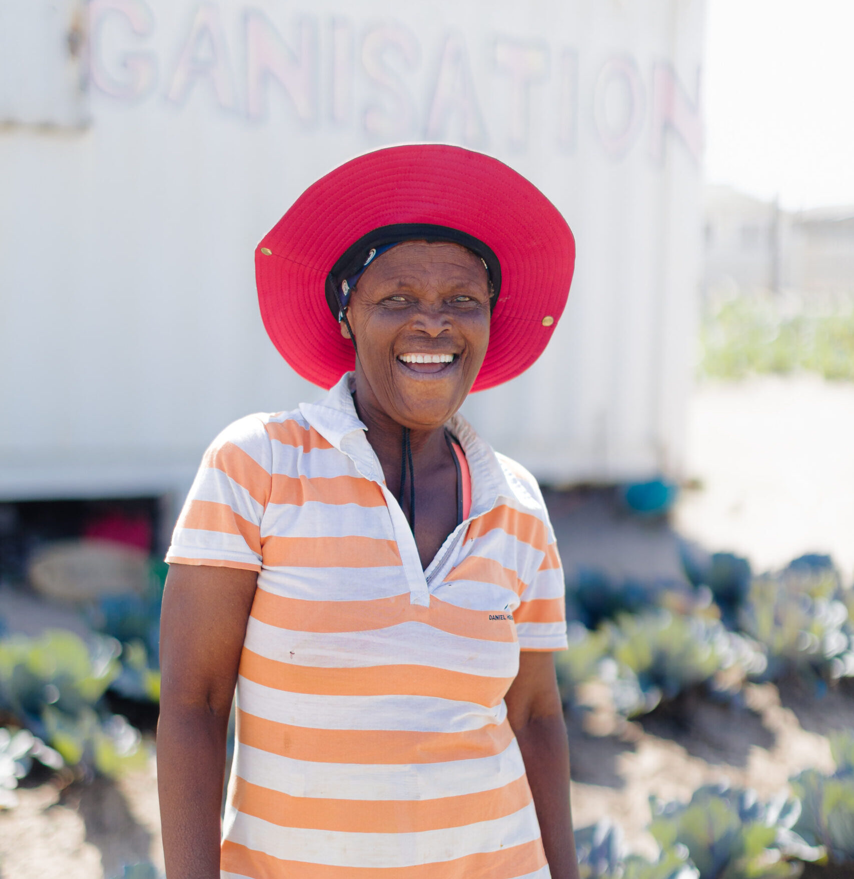 More Than Food: Growing Hope Through Food Gardens Connect